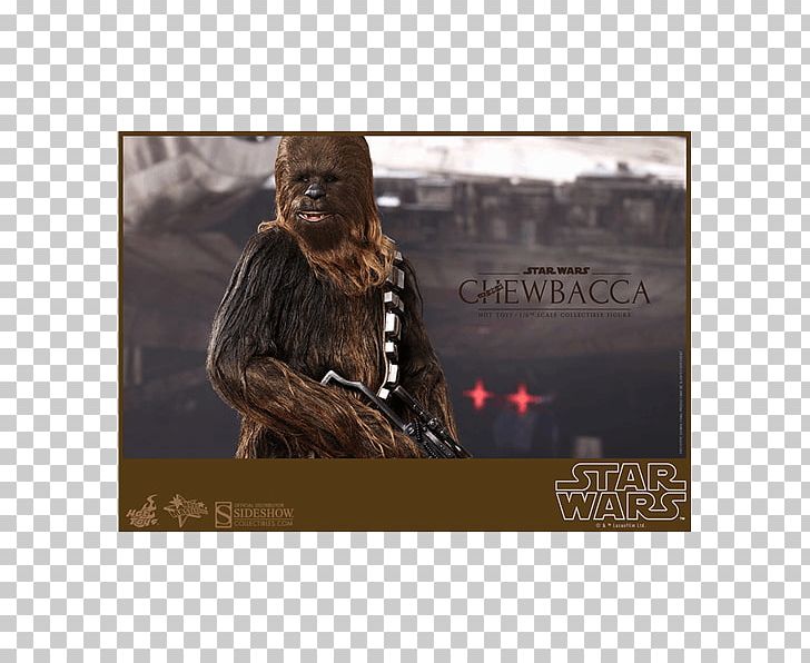 Chewbacca Han Solo Kenner Star Wars Action Figures Hot Toys Limited PNG, Clipart, Action Toy Figures, Chewbacca, Hot Toys , Kenner Star Wars Action Figures, Others Free PNG Download