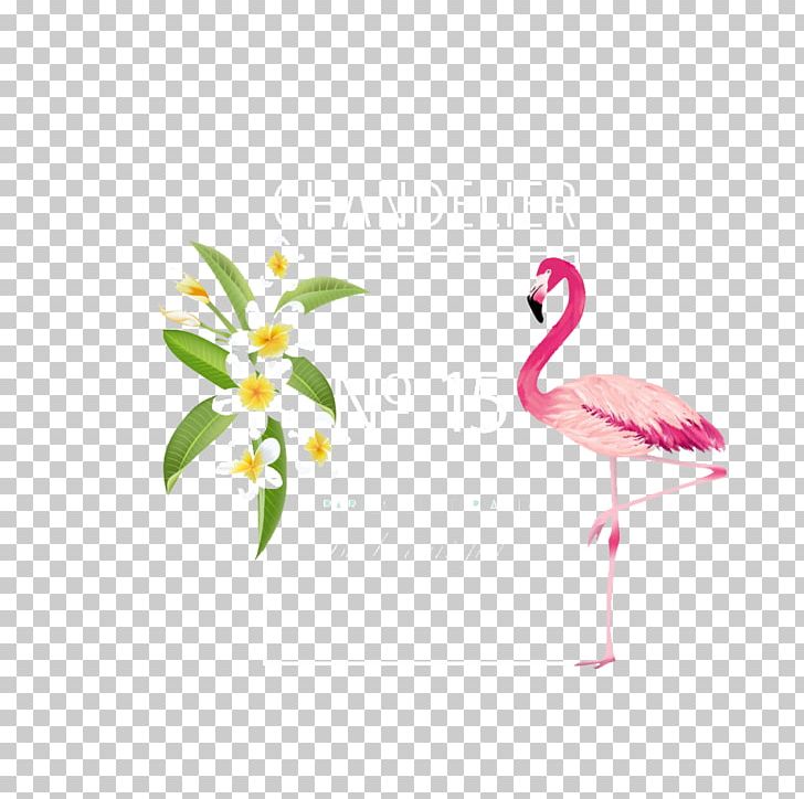 Flamingo Flower Euclidean PNG, Clipart, Animals, Bird, Christmas Decoration, Decor, Decorations Free PNG Download