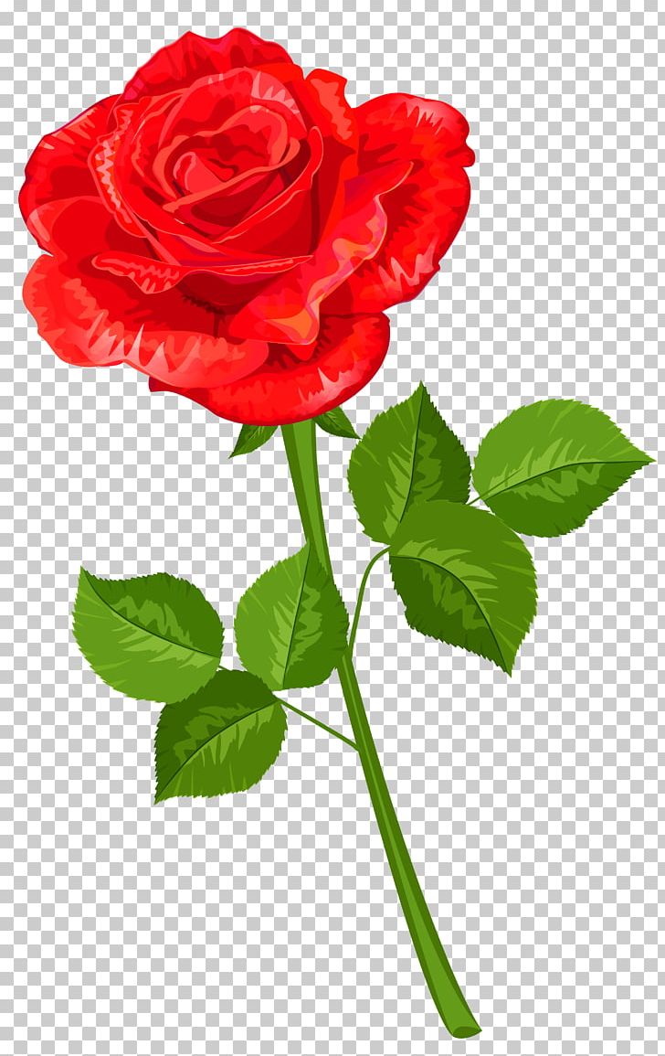 Flower Drawing Rose PNG, Clipart, Artificial Flower, Carnation, China Rose, Family, Female Free PNG Download