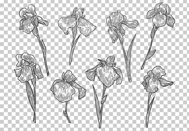 Drawing Flower Line Art Sketch PNG, Clipart, Artwork, Black And White, Body Jewelry, Botanical Illustrator, Branch Free PNG Download