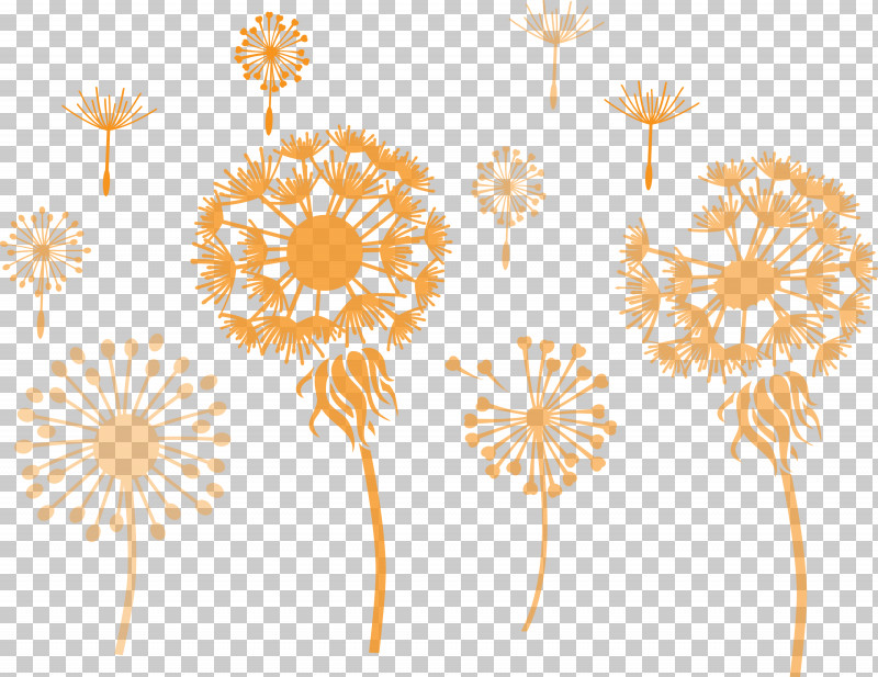 Dandelion PNG, Clipart, Chrysanthemum, Cut Flowers, Dahlia, Dandelion, Floral Design Free PNG Download
