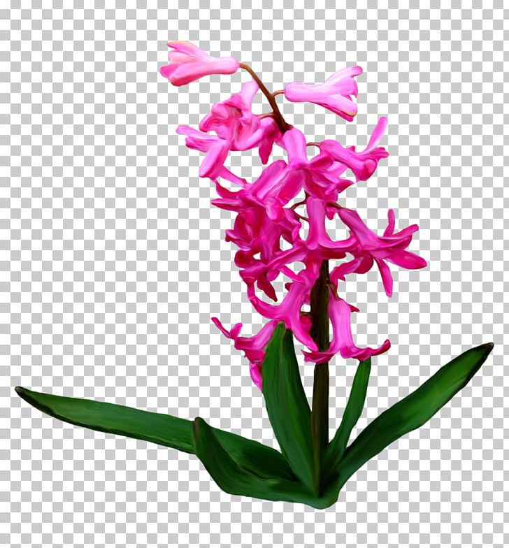 Flower PNG, Clipart, Albom, Cattleya, Christmas Decoration, Creative Flower, Decorative Free PNG Download