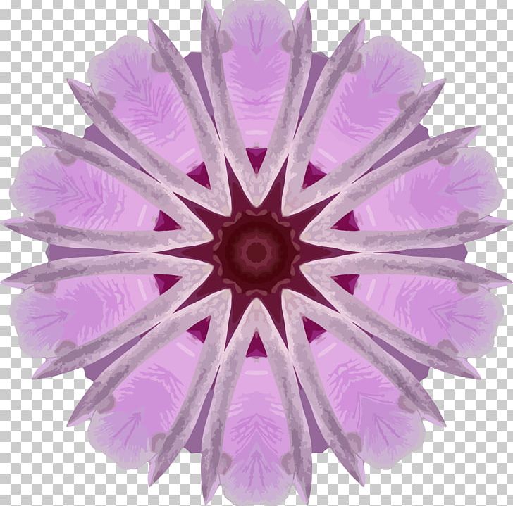 Flower Lilac Transvaal Daisy PNG, Clipart, Cut Flowers, Flower, Lavender, Lilac, Magenta Free PNG Download