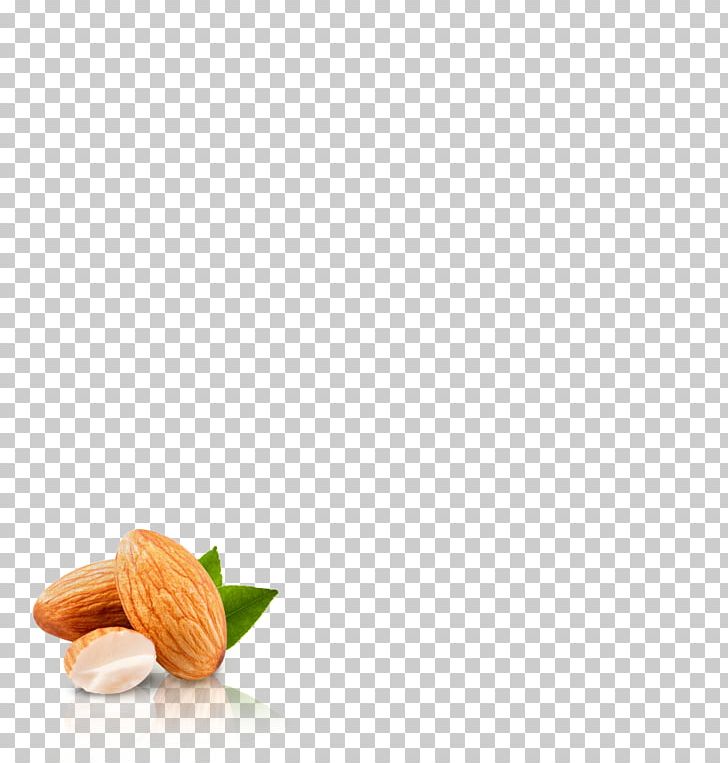 Food Nut Cashew Macadamia Snack PNG, Clipart, Almond, Cashew, Delicacy, Dietary Fiber, Flavor Free PNG Download