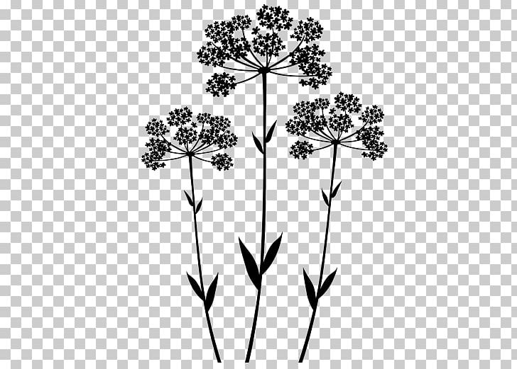 Wall Decal Anise Flower Color Plant Stem PNG, Clipart, Anis, Anise, Black And White, Branch, Christmas Cookie Free PNG Download