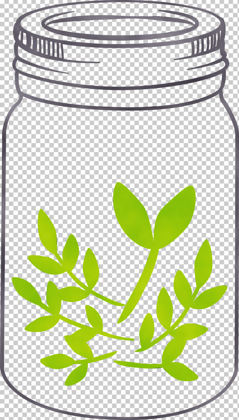 Food Storage Containers Leaf Herbal Medicine Herb Tree PNG, Clipart, Container, Flower, Food Storage, Food Storage Containers, Herb Free PNG Download