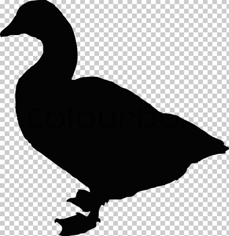 Duck Bird Goose Silhouette PNG, Clipart, Animals, Beak, Bird, Black And White, Black Swan Free PNG Download
