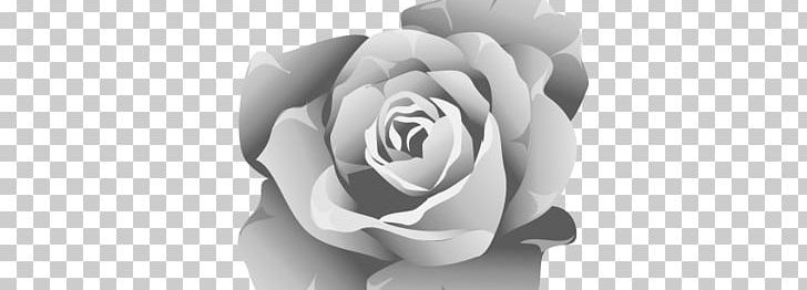 Free Rose PNG, Clipart, Black And White, Black Rose, Closeup, Computer Icons, Cut Flowers Free PNG Download