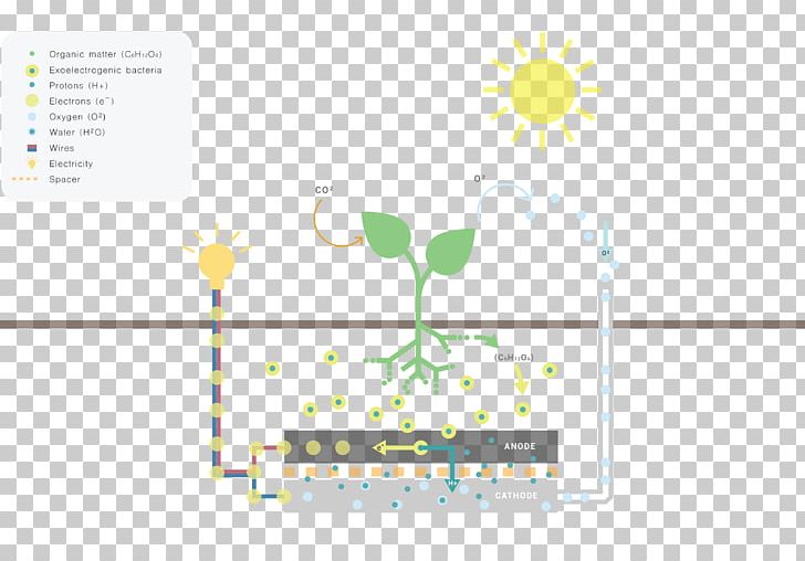 Living Light Plant Electricity Energy PNG, Clipart, Area, Brand, Circuit Diagram, Communication, Diagram Free PNG Download