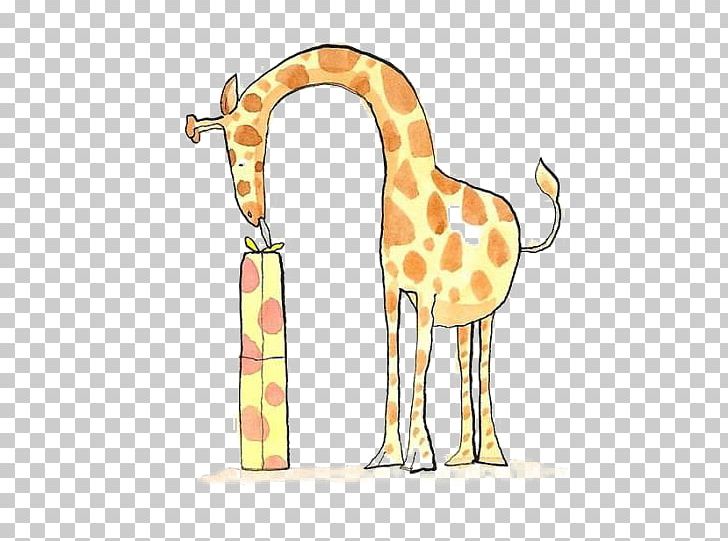 Northern Giraffe Cartoon Drawing PNG, Clipart, Animal, Animals, Animation, Cartoon Giraffe, Creativity Free PNG Download