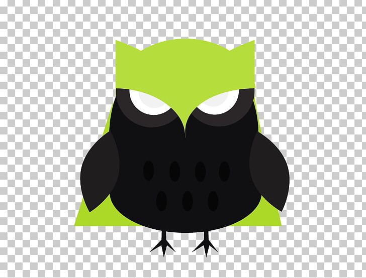 Owl Green PNG, Clipart, Beak, Bird, Bird Of Prey, Green, Owl Free PNG Download
