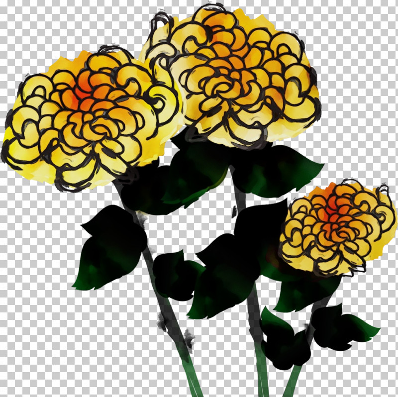 Floral Design PNG, Clipart, Biology, Chrysanthemum, Chrysanths, Cut Flowers, Floral Design Free PNG Download