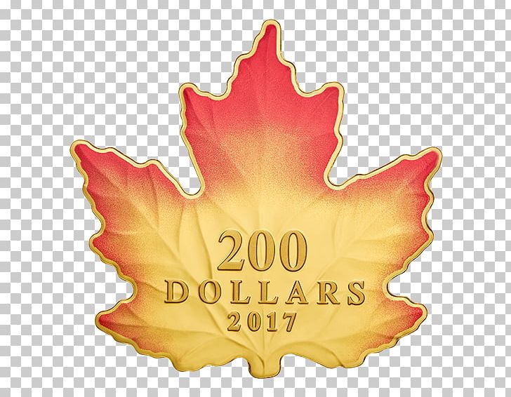 150th Anniversary Of Canada Canadian Gold Maple Leaf PNG, Clipart, 150th Anniversary Of Canada, Canada, Canadian Gold Maple Leaf, Canadian Maple Leaf, Canadian Silver Maple Leaf Free PNG Download