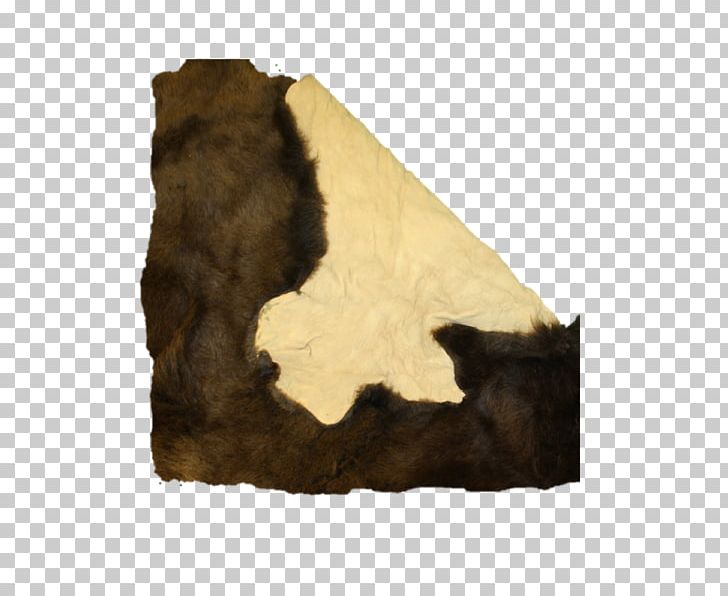 American Bison Montrail Plains Hide Painting Fur PNG, Clipart, All Rights Reserved, American Bison, Bison, Blanket, Carnivora Free PNG Download