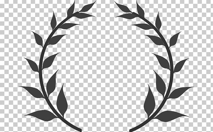 Olive Branch Olive Wreath Laurel Wreath PNG, Clipart, Black, Black And White, Bord, Branch, Circle Free PNG Download
