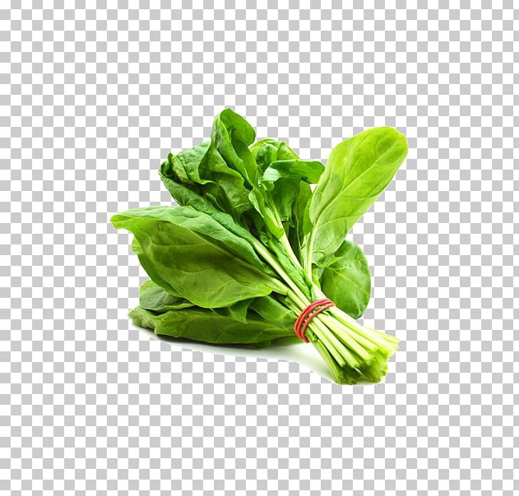 Water Spinach Leaf Vegetable Saag PNG, Clipart, C E, Chard, Choy Sum, Dietary Fiber, Food Free PNG Download