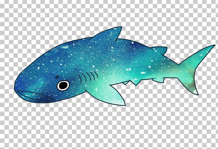 Squaliform Sharks Whale Shark Shark Tooth PNG, Clipart, Animal, Aqua, Cartilaginous Fish, Cetacea, Drawing Free PNG Download