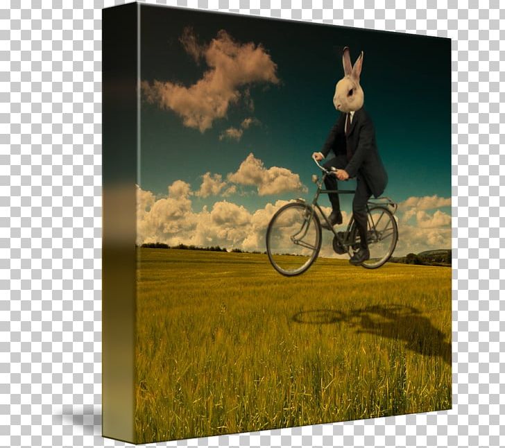 White Rabbit Surrealism Art Kind PNG, Clipart, Animals, Art, Bicycle, Cycling, Digital Art Free PNG Download