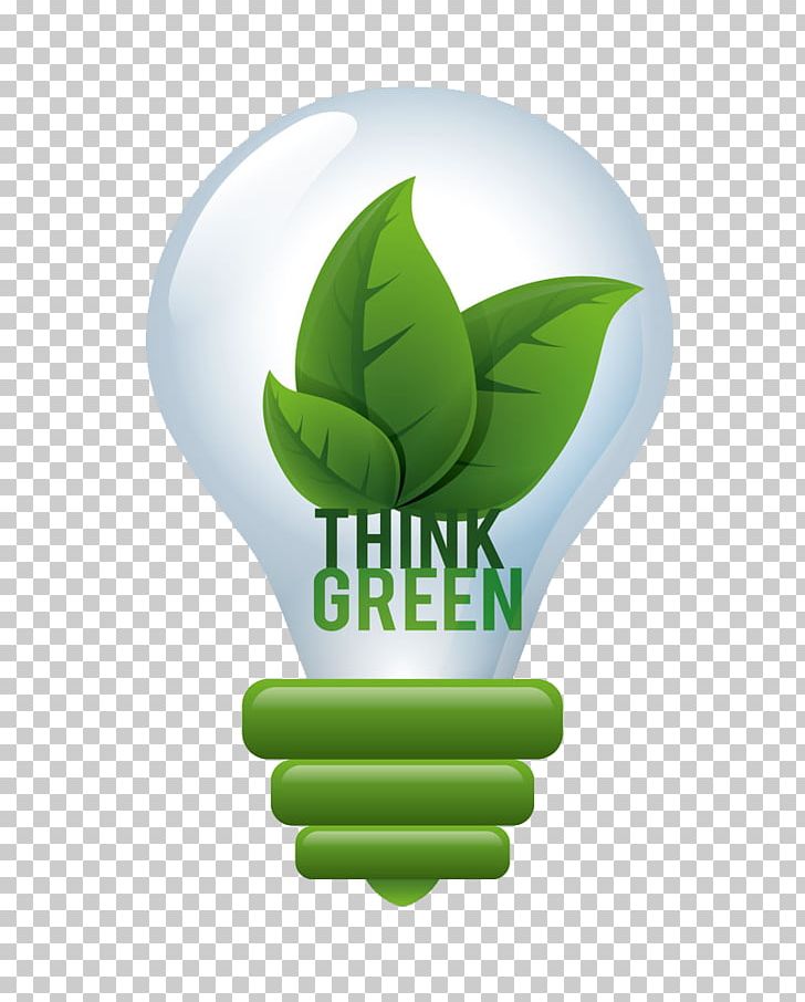 Photography Green PNG, Clipart, Creative Bulb, Decorative, Decorative Pattern, Electricity, Encapsulated Postscript Free PNG Download