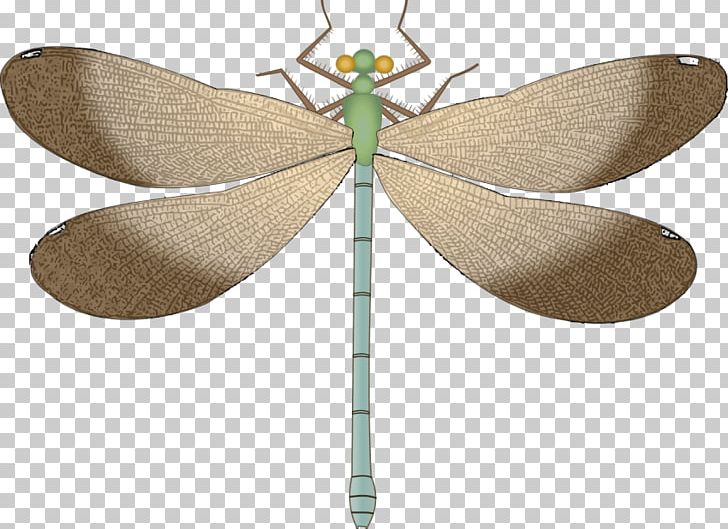 Dragonfly Insect Portable Network Graphics Graphics PNG, Clipart, Animal, Animals, Arthropod, Brown, Digital Image Free PNG Download