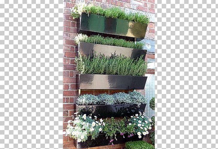 Gardening Green Wall Flowerpot PNG, Clipart, Container Garden, Deck, Evergreen, Fence, Flower Free PNG Download