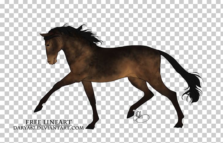 Mane Mustang Stallion Foal Mare PNG, Clipart,  Free PNG Download