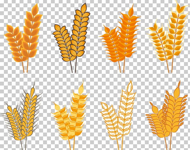 Oat Rice Cereal Icon PNG, Clipart, Autumn Leaves, Autumn Vector, Camera Icon, Cartoon, Cere Free PNG Download
