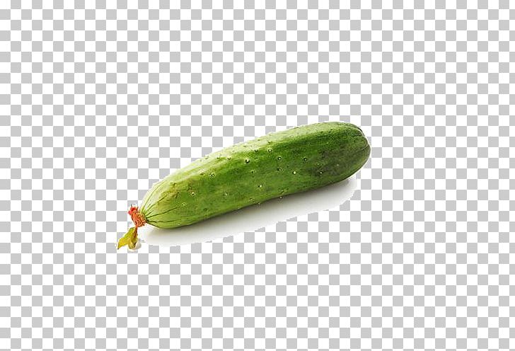 Pickled Cucumber Vegetable PNG, Clipart, Autumn Background, Autumn Cucumber, Autumn Green Cucumber, Autumn Leaf, Autumn Leaves Free PNG Download