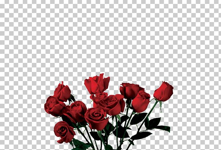 Rose Flower PNG, Clipart, Computer Icons, Cut Flowers, Desktop Wallpaper, Floral Design, Floribunda Free PNG Download