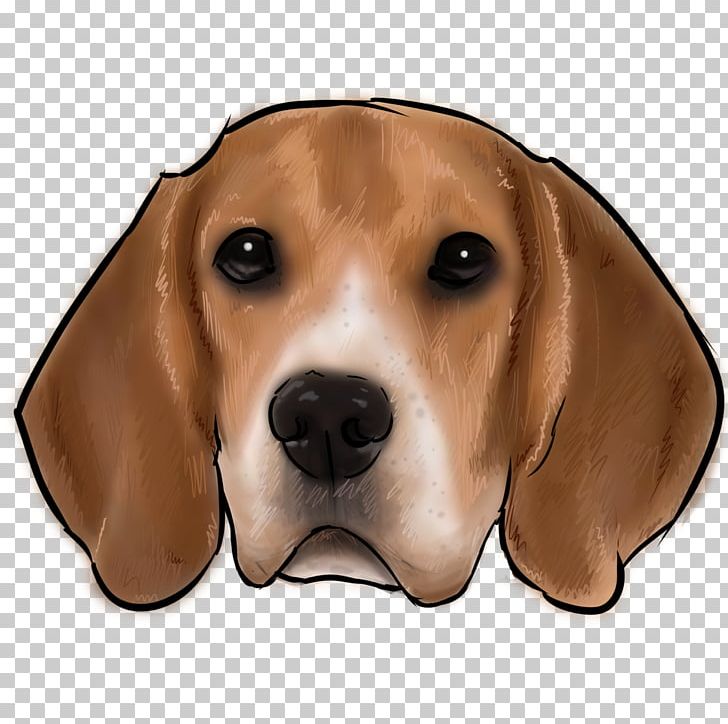 Beagle Treeing Walker Coonhound Harrier Redbone Coonhound English Foxhound PNG, Clipart, Animals, Are You, Beagle, Black And Tan Coonhound, Carnivoran Free PNG Download