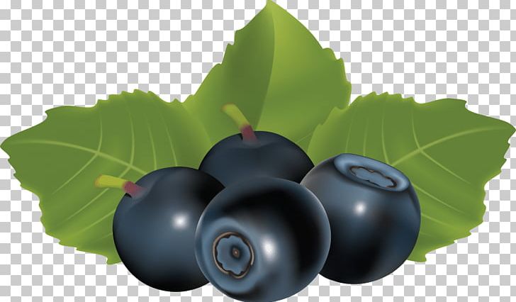 Bilberry Blueberry Grape Food Huckleberry PNG, Clipart, Berry, Bilberry, Blueberry, Damson, Drawing Free PNG Download