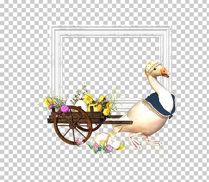 Frames Scrapbooking Easter PNG, Clipart, Bird, Blog, Download, Duck, Ducks Geese And Swans Free PNG Download