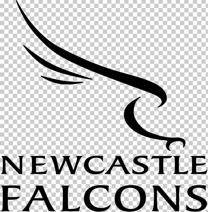 Newcastle Falcons Kingston Park English Premiership Worcester Warriors Anglo Welsh Cup PNG, Clipart, Anglo Welsh Cup, Black, Falcon, Falcon Logo, Logo Free PNG Download
