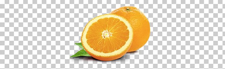 Orange PNG, Clipart, Orange Free PNG Download