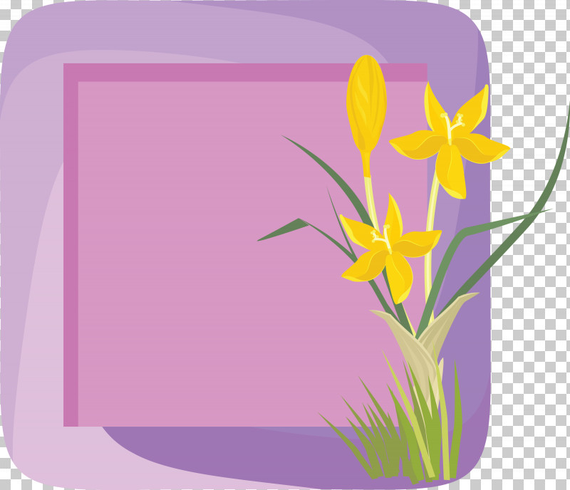 Flower Photo Frame Flower Frame Photo Frame PNG, Clipart, Biology ...