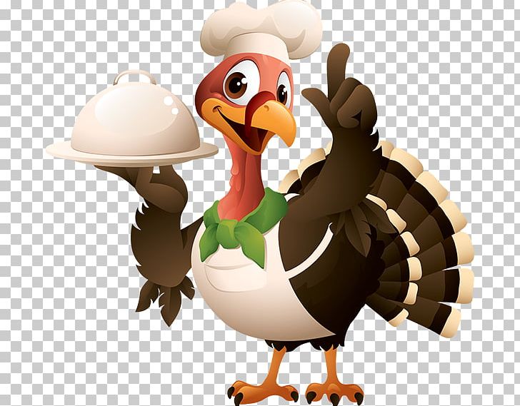 Thanksgiving Turkey Meat Graphics Illustration PNG, Clipart, Beak, Bird,  Cartoon, Chicken, Duck Free PNG Download