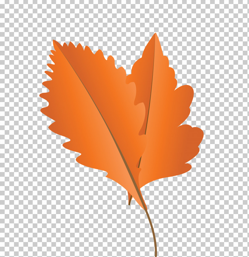 Maple Leaf PNG, Clipart, Autumn Leaf, Biology, Cartoon Leaf, Fall Leaf, Leaf Free PNG Download