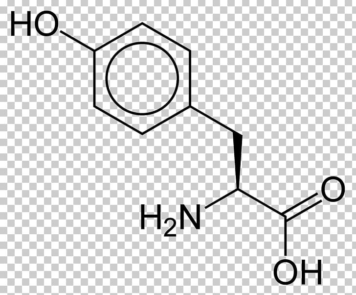Lysine Amino Acid Isoleucine Glutamic Acid PNG, Clipart, Acid, Alanine, Amine, Amino Acid, Angle Free PNG Download