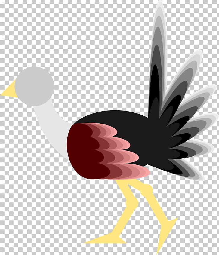 Bird Common Ostrich Windows Metafile PNG, Clipart, Animals, Beak, Bird, Byte, Chicken Free PNG Download