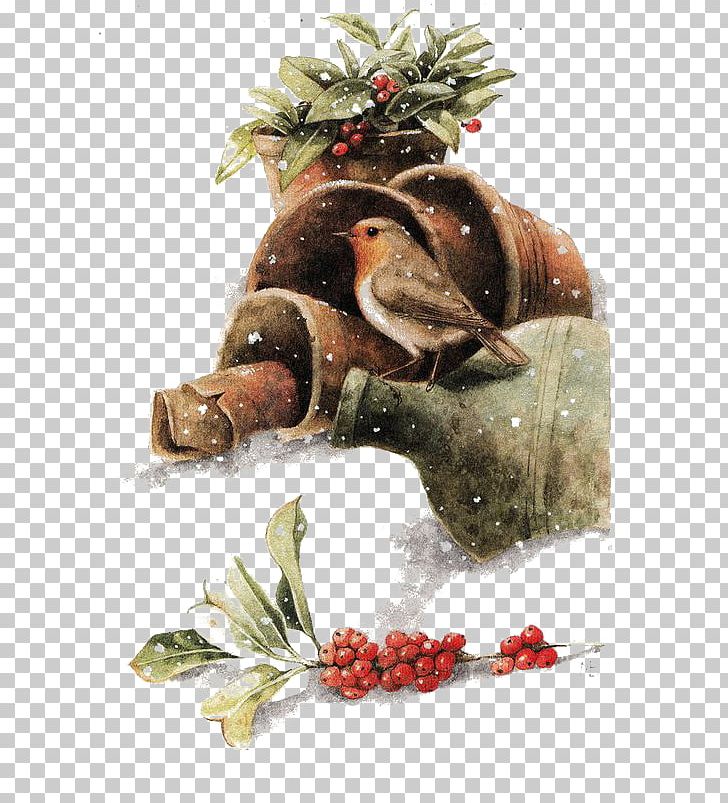 Bird Painting Drawing Christmas Illustration PNG, Clipart, Art, Bird, Birds, Cartoon, Christmas Free PNG Download