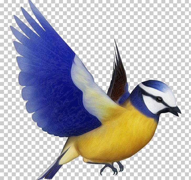Bird Silhouette PNG, Clipart, Animals, Beak, Bird, Bluebird, Blue Jay Free PNG Download