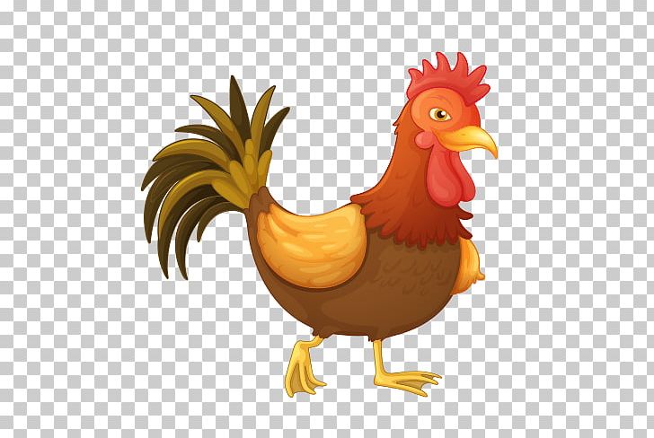 Chicken PNG, Clipart, Animals, Beak, Bird, Chicken, Drawing Free PNG Download
