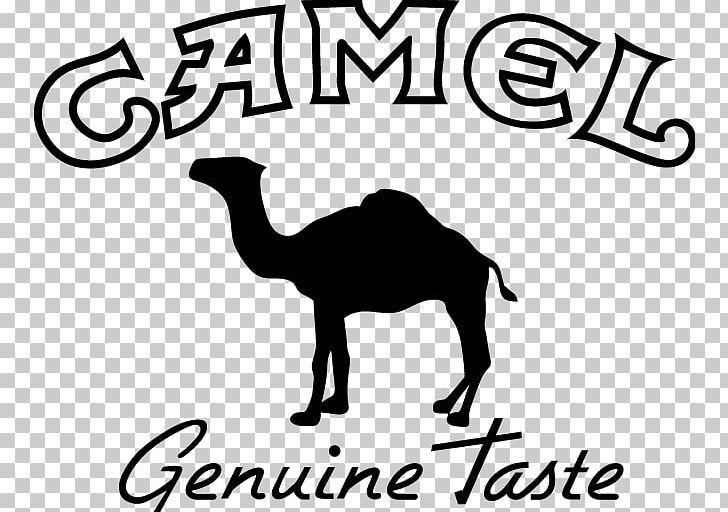 Dromedary Camel Logo Encapsulated PostScript PNG, Clipart, Arab, Area, Black And White, Camel, Camel Cigarettes Free PNG Download