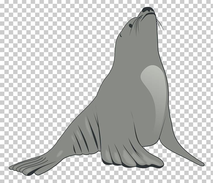Earless Seal Sea Lion Walrus PNG, Clipart, Art, Beak, Bird, Black And White, Bull Clip Free PNG Download