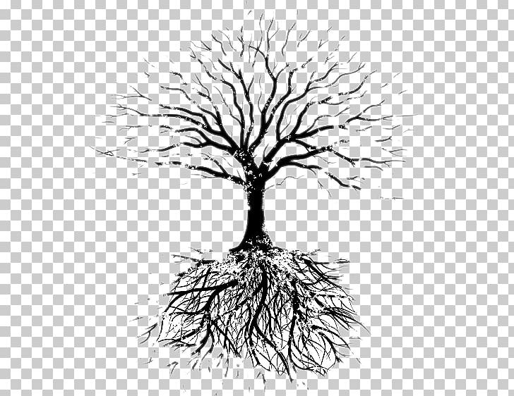 fruit tree drawing with roots