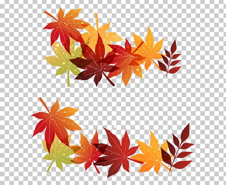 Maple Leaf Autumn PNG, Clipart, Autumn, Autumn Leaf Color, Decorazione Onorifica, Encapsulated Postscript, Fall Decorations Cliparts Free PNG Download