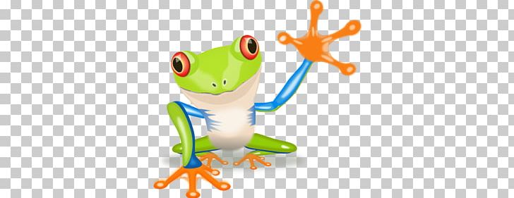 Red-eyed Tree Frog Amphibian Japanese Tree Frog PNG, Clipart, Agalychnis, American Green Tree Frog, Amphibian, Animal, Australian Green Tree Frog Free PNG Download