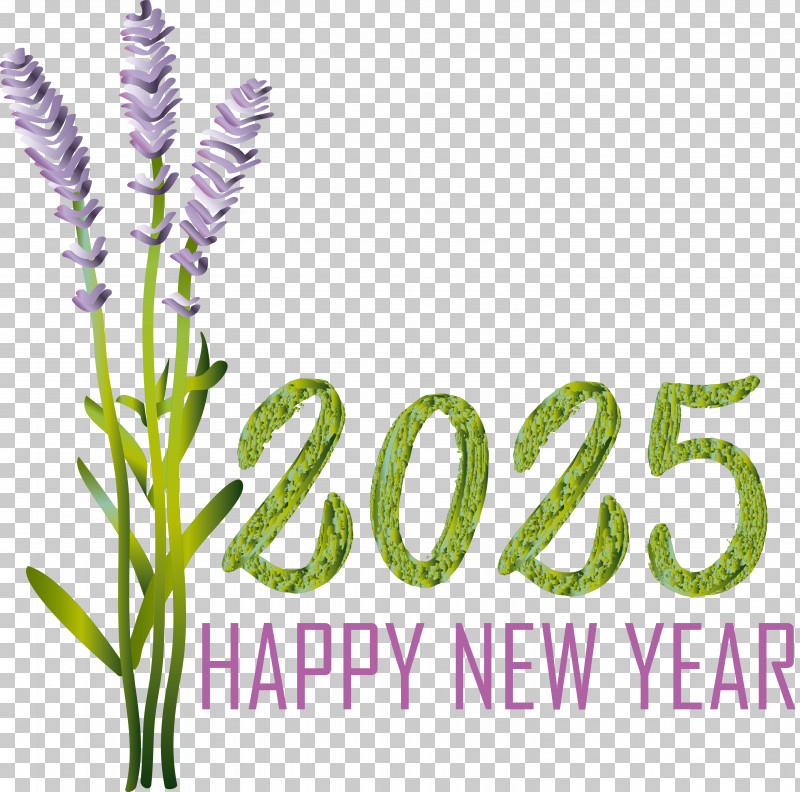 Lavender PNG, Clipart, Biology, Geometry, Grasses, Lavender, Line Free PNG Download