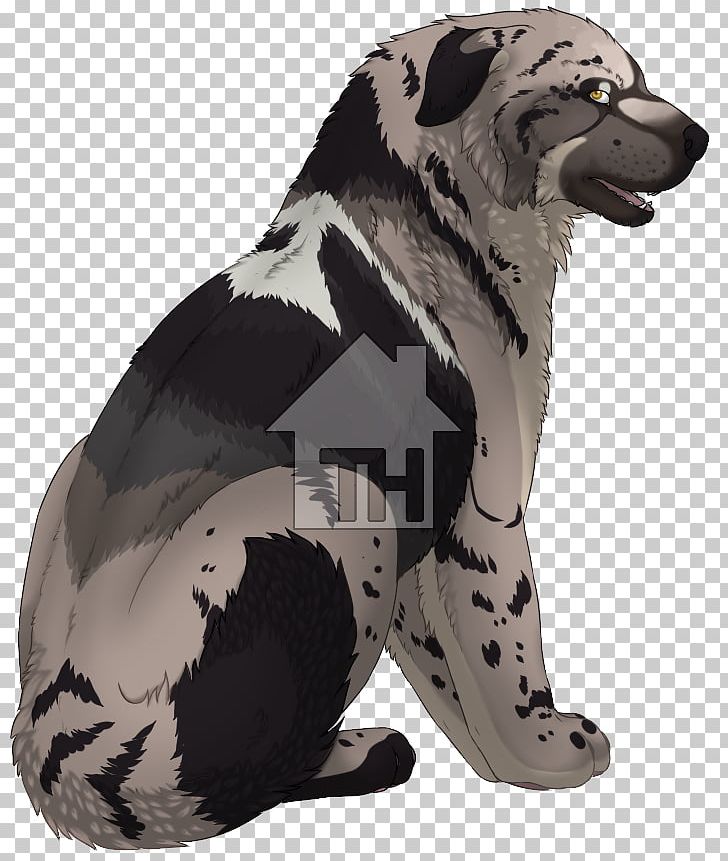 Dog Breed Snout Fur PNG, Clipart, Animals, Breed, Carnivoran, Dog, Dog Breed Free PNG Download
