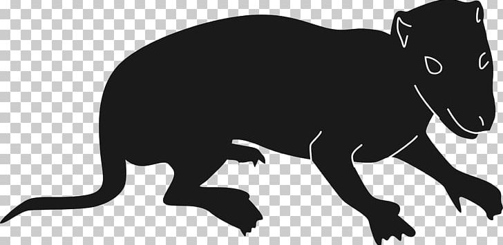 American Black Bear Brown Bear PNG, Clipart, Amer, Animal, Animals, Art, Bear Free PNG Download